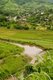 Thailand: Rice terraces, Ban Huai Masang, Chiang Rai Province, Northern Thailand